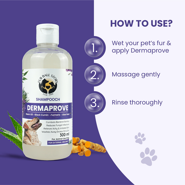 FurBall Story Shampooch Dermaprove Shampoo for Dogs
