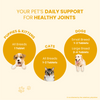 FurBall Story Jump O Joint Care Tablets and Oil for Dogs and Cats Combo Both-Health & Wellness Furball Story