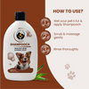 FurBall Story Shampooch Healthy Skin & Shiny Coat Shampoo for Dogs Dogs-Grooming Supplies Furball Story