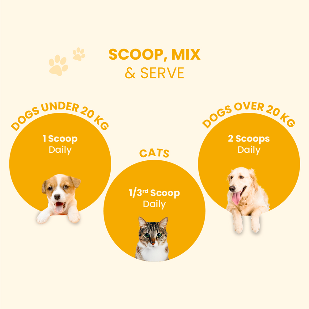 FurBall Story Wag Boost Food Topper for Dogs and Cats Dogs- Dry Food Furball Story