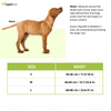 Trixie Diapers for Male Dogs (30x46cm) Dogs-Health & Wellness Trixie