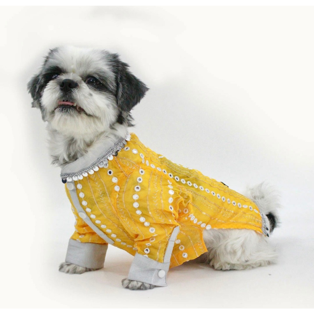 Dogobow Mirror Kurta for Dogs (Yellow)