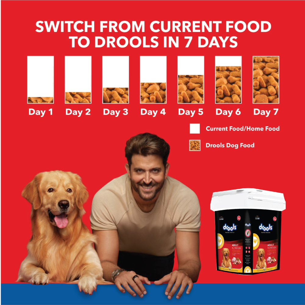 Drools Chicken and Egg Adult Dog Dry Food
