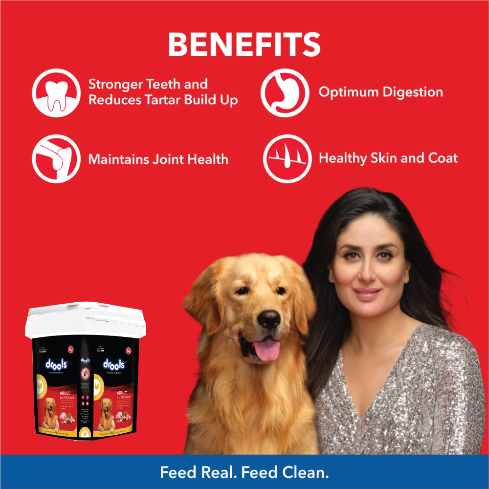 Drools Chicken and Egg Adult Dog Dry Food