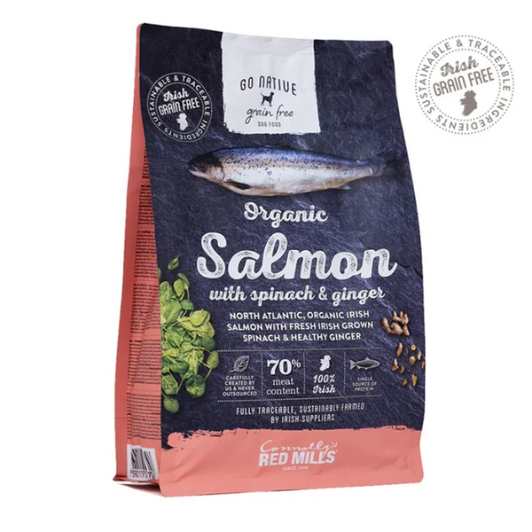 Go Native Salmon with Spinach & Ginger Adult Dog Dry Food