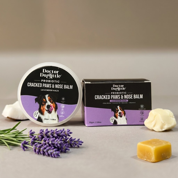 Doctor Doglittle Probiotic Cracked Paws and Nose Balm with Shea Butter for Dogs