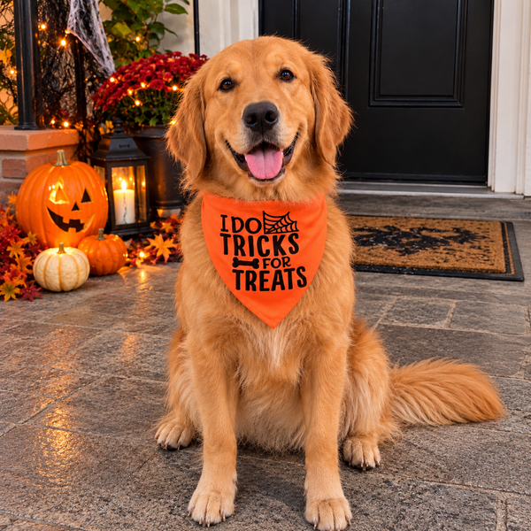 15 Furries Trick for Treat Halloween Bandana for Dogs & Cats (Orange/Black)