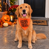 15 Furries Trick for Treat Halloween Bandana for Dogs & Cats (Orange/Black) Both-Clothing & Accessories 15 Furries Dropship