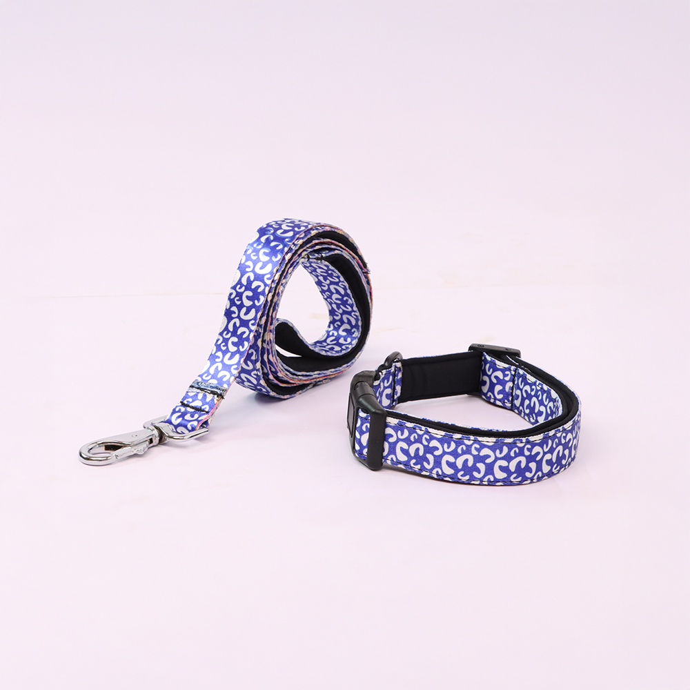 Skatrs Enigma Leash for Dogs and Cats Both-Collar, Leashes, harnesses Skatrs