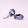 Skatrs Enigma Leash for Dogs and Cats Both-Collar, Leashes, harnesses Skatrs