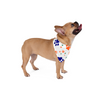 Skatrs IndiePaw Bandana for Dogs and Cats Both-Clothing & Accessories Skatrs