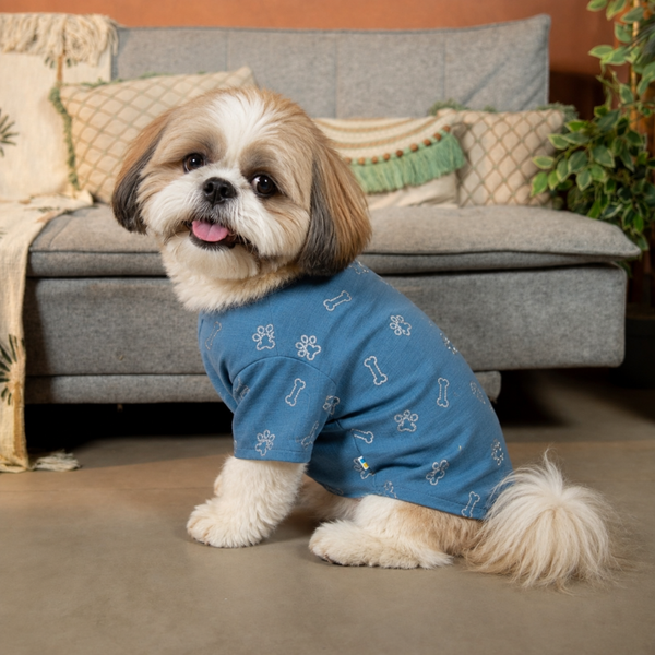 15 Furries Desi Denim Kurta for Dogs (Blue)