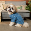15 Furries Desi Denim Kurta for Dogs (Blue) Dogs-Clothing & Accessories 15 Furries Dropship