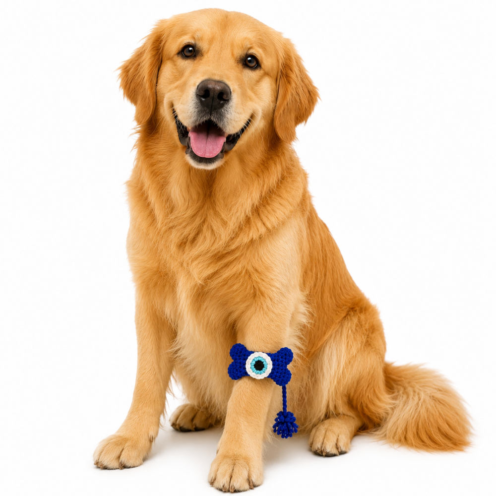 Raksha Bandhan Evil Eye Bone Rakhi for Dogs & Cats by 15 Furries Both-Clothing & Accessories 15 Furries Dropship