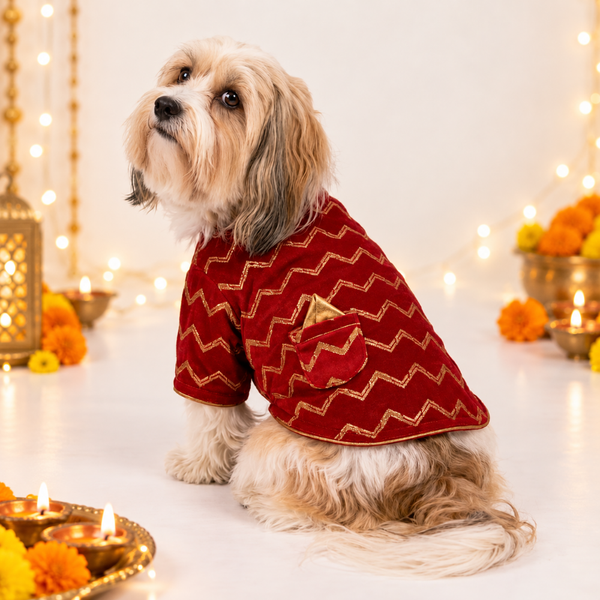 15 Furries Jashn Crimson Sherwani for Dogs (Red/Gold)