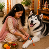 Raksha Bandhan Paw Crochet Rakhi for Dogs & Cats by 15 Furries Both-Clothing & Accessories 15 Furries Dropship