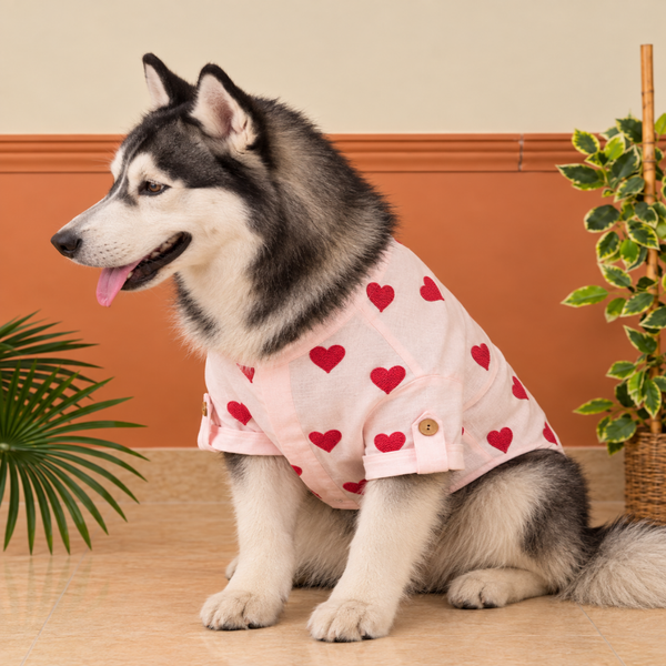 15 Furries Linen Heart Embroidered Kurta for Dogs (Baby Pink)