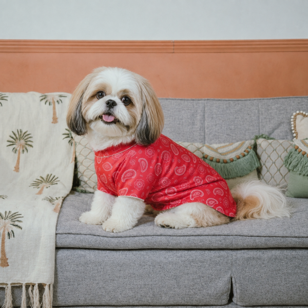 15 Furries Heera Moti Kurta for Dogs (Red)