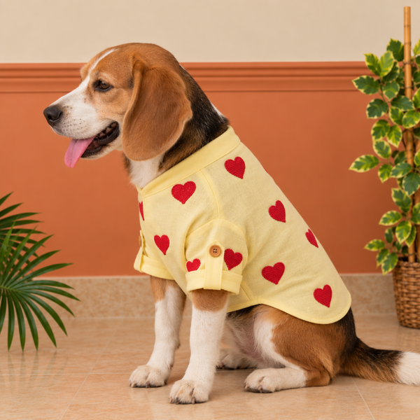 15 Furries Linen Heart Embroidered Kurta for Dogs (Lemon Yellow)