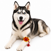Raksha Bandhan Paw Crochet Rakhi for Dogs & Cats by 15 Furries Both-Clothing & Accessories 15 Furries Dropship