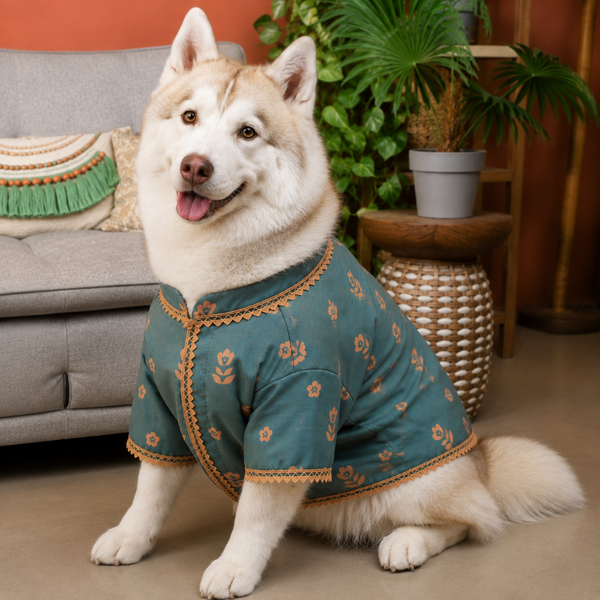 15 Furries Khwaish Kurta for Dogs (Teal Blue)