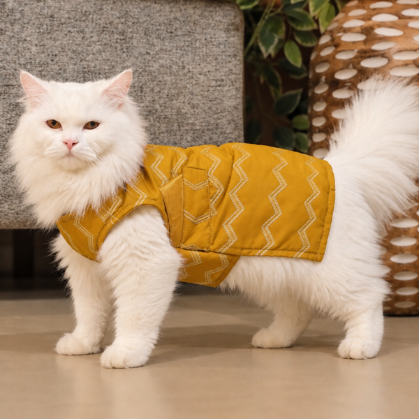 15 Furries Jashn Mustard Sherwani for Cats (Yellow/Gold)
