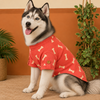 15 Furries Linen Bone Embroidered Kurta for Dogs (Grape Red) Dogs-Clothing & Accessories 15 Furries Dropship XXS