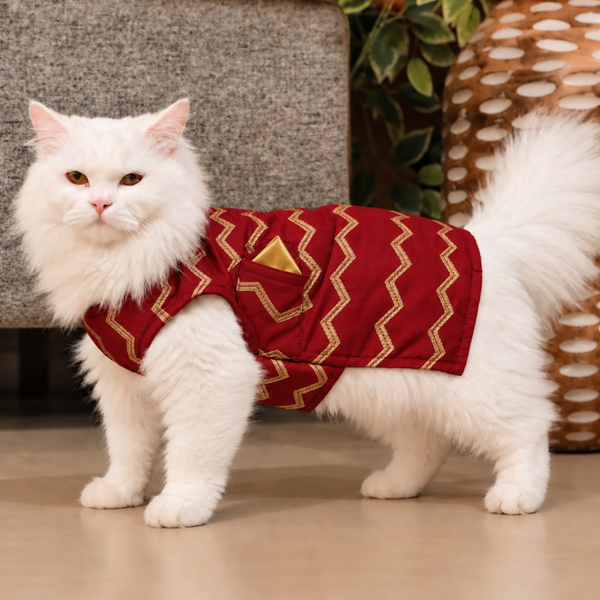 15 Furries Jashn Sherwani for Cats (Crimson Red)
