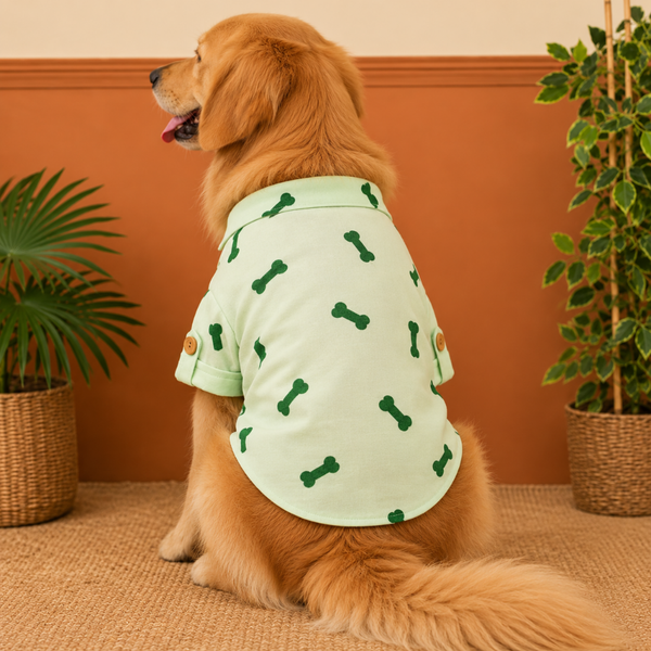 15 Furries Linen Bone Embroidered Kurta for Dogs (Mint Green)
