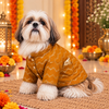 15 Furries Jashn Mustard Sherwani for Dogs (Yellow/Gold) Dogs-Clothing & Accessories 15 Furries Dropship