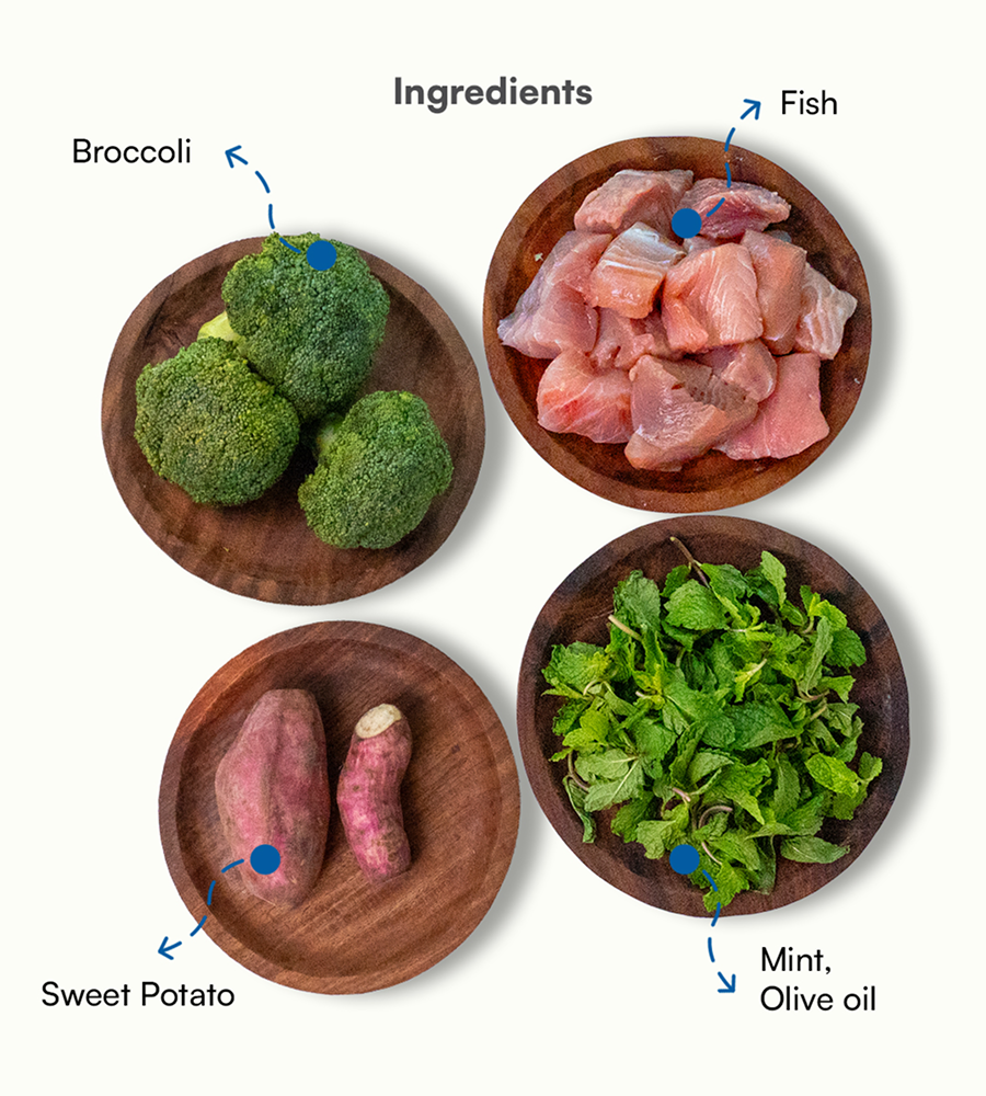 Pawfectly Made By Licious Fish Broccoli & Sweet Potato Home Meal for Dogs Home Meals Pawfectly Made By Licious