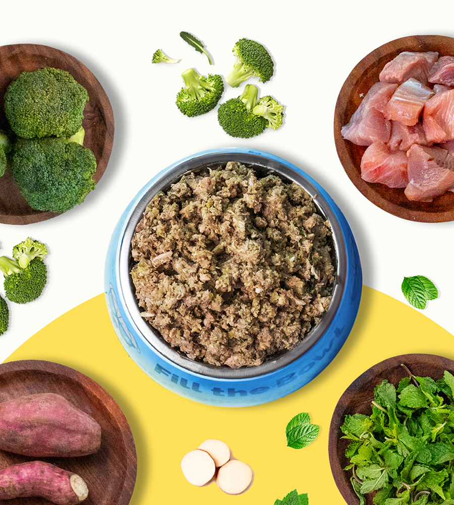 Pawfectly Made By Licious Fish Broccoli & Sweet Potato Home Meal for Dogs Home Meals Pawfectly Made By Licious