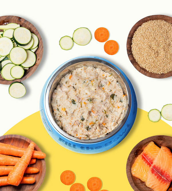 Pawfectly Made By Licious Fish Rice & Veggies Home Meal for Dogs