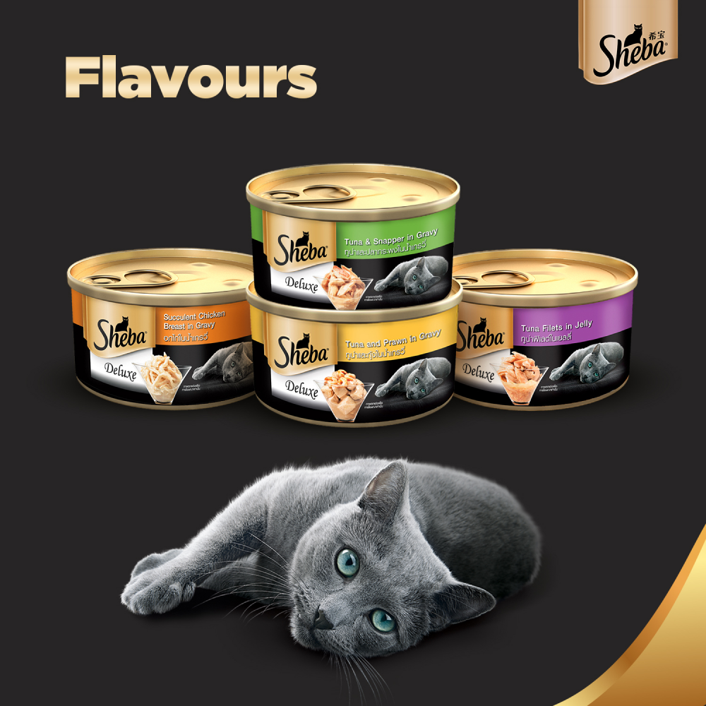 Sheba Tuna Fillet & Whole Prawns in Gravy Premium Cat Wet Food