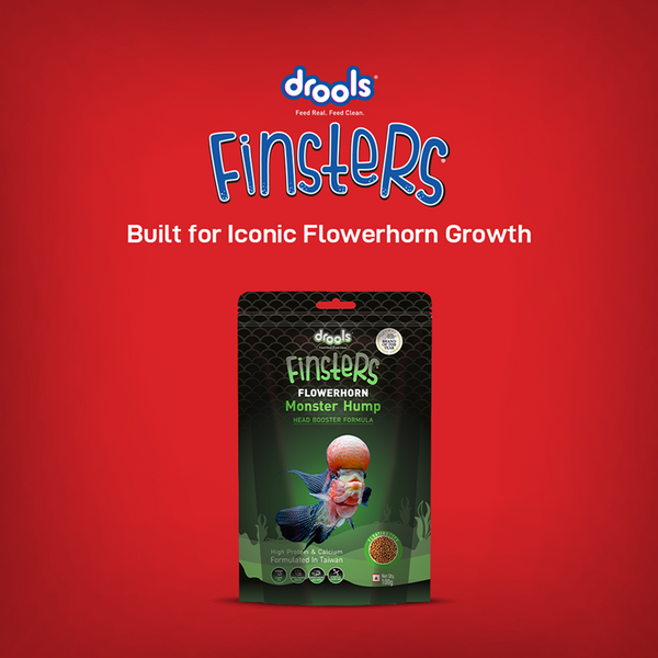 Drools Finsters Flower Horn Monster Hump Fish Food
