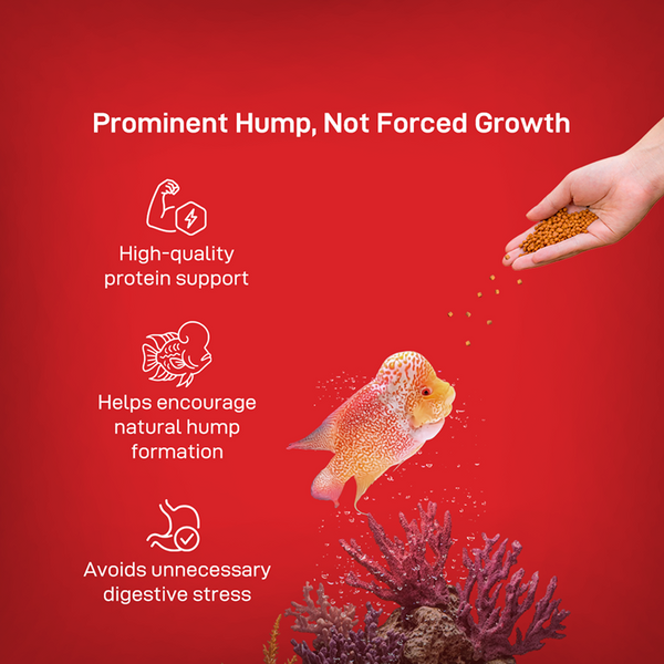 Drools Finsters Flower Horn Monster Hump Fish Food