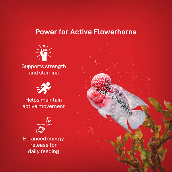 Drools Finsters Flower Horn Monster Hump Fish Food