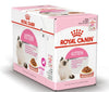 Royal Canin Kitten Wet Food in Gravy (85g Pouch) Cats-Wet Food Royal Canin