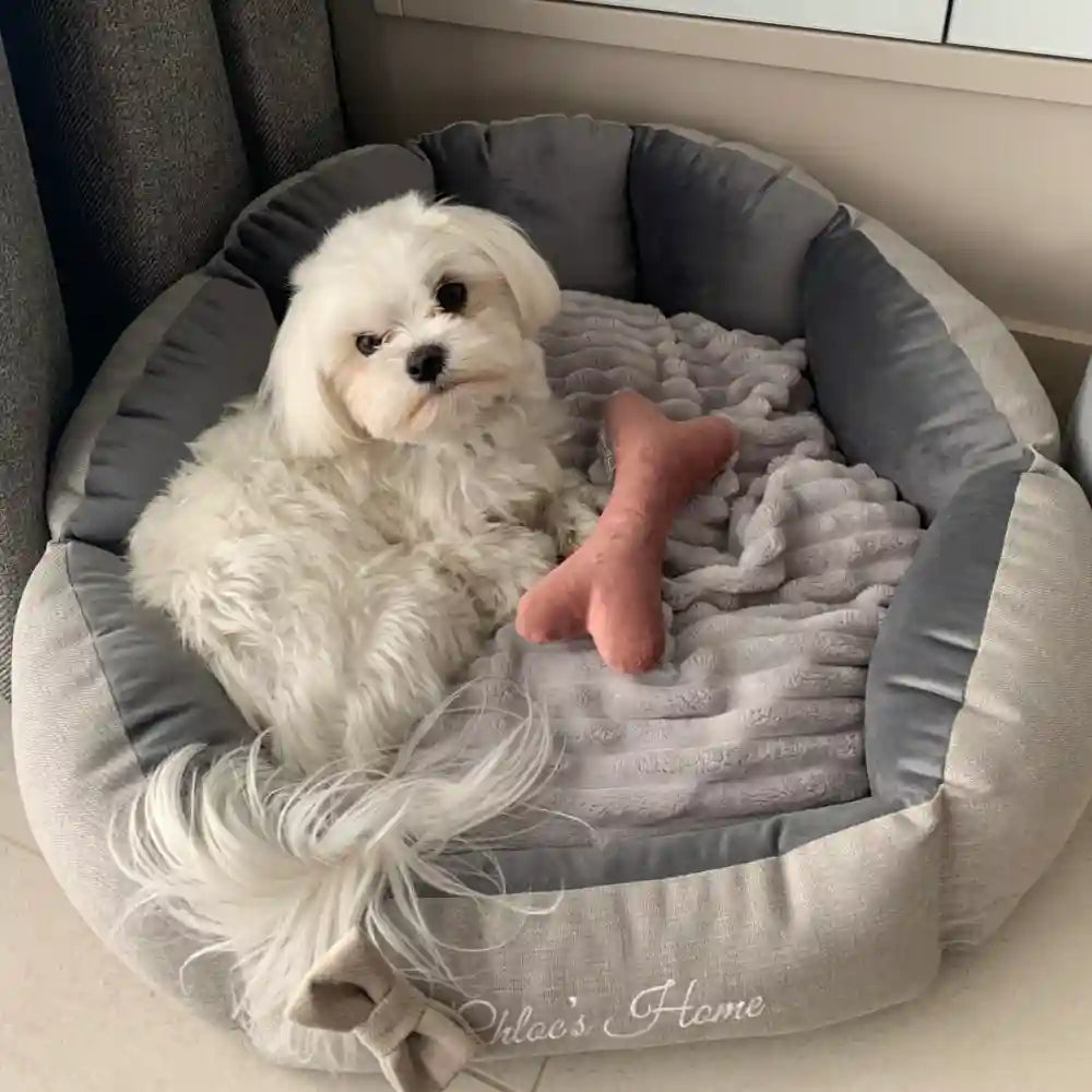 Chloe&