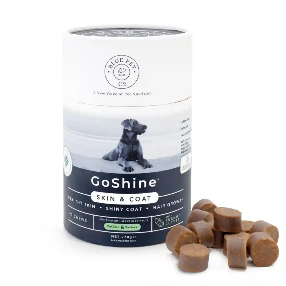 Blue Pet Co Go Shine Peanut Butter Flavor Skin & Coat Chewable Supplement for Dogs Dogs-Health & Wellness Blue Pet Co Dropship