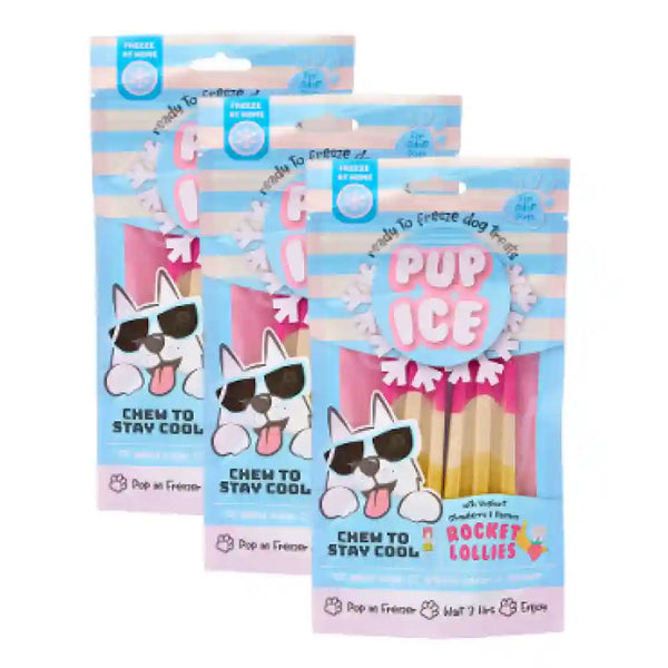 Pup Ice Strawberry and Banana Flavoured Rocket Lollies Dog Treat