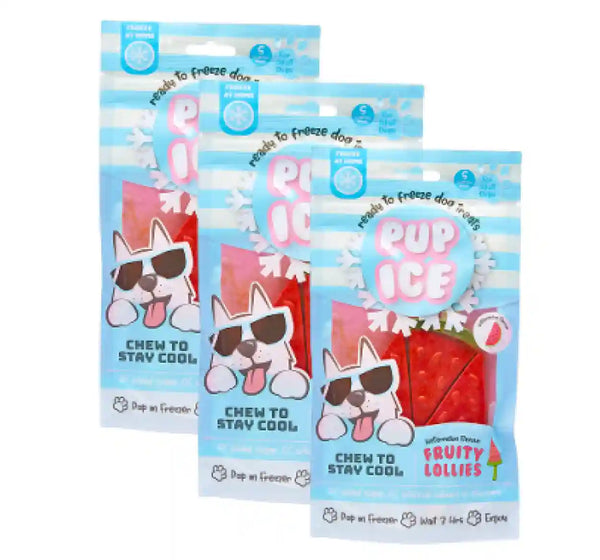 Ice Cream Watermelon Frozen Dog Treats Ice Cream Treat For Dogs