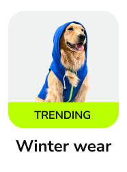 frame_1707512338.webp__PID:b37b5c75-3498-4321-8a7d-fc0e6fe75124