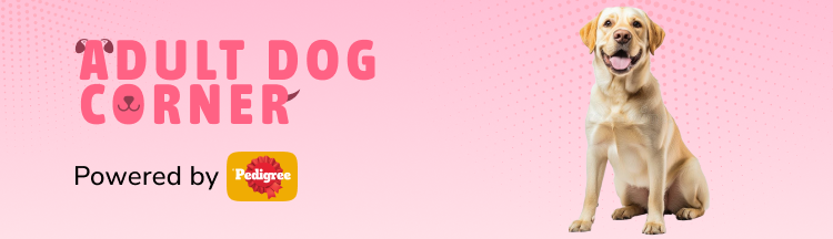 frame_1707512417.webp__PID:64b2982b-5064-4342-93a7-c83cfd2226cc