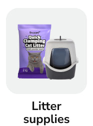 frame_1707512609.webp__PID:2a568319-6b41-4543-bb91-162e6530267c