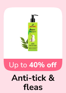 frame_1707512975.webp__PID:5d912224-5831-49ce-bad1-a4276551d4b6