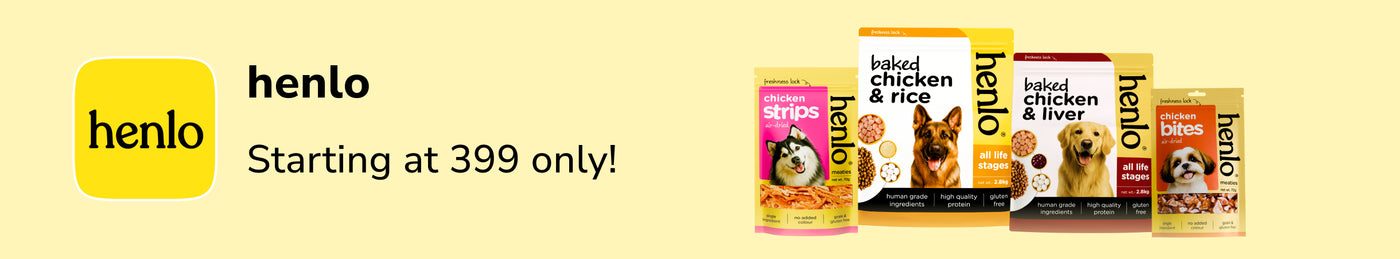 frame_1707513038.webp__PID:1bd764b2-982b-4064-a342-93a7c83cfd22