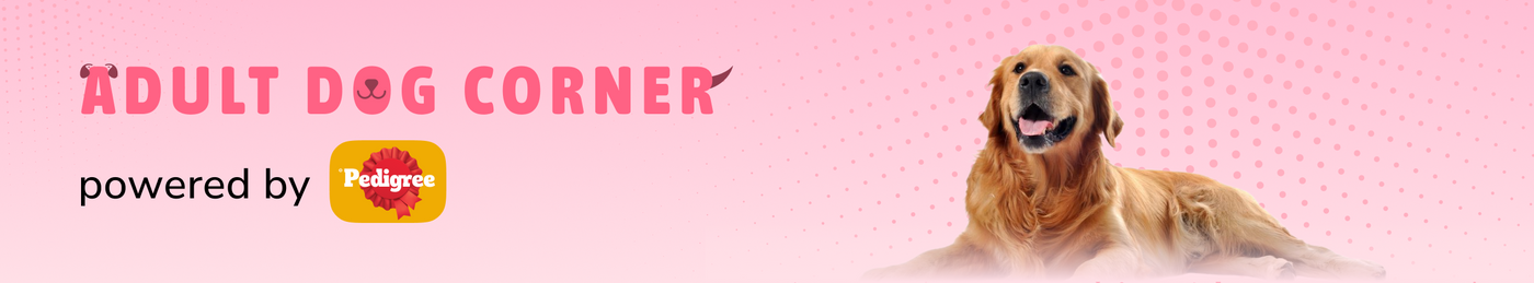 frame_1707513040.webp__PID:34982321-4a7d-4c0e-afe7-51246a0a534c