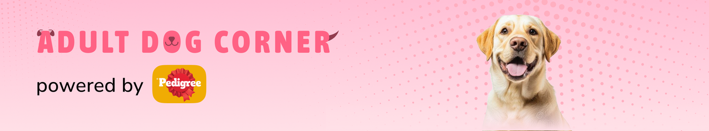 frame_1707513040.webp__PID:a34293a7-c83c-4d22-a6cc-a0be01ed286a