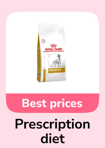 frame_1707513122.webp__PID:93a7c83c-fd22-46cc-a0be-01ed286a92b5